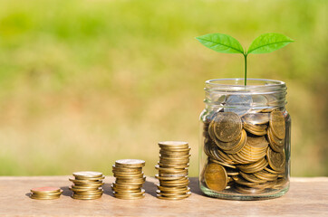 Wall Mural - money saving and investing for business investment finance and banking concept. green plant leaves growth on row of coin stack on wood table with green blur nature background.