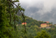 Village In The Mountains Of Italy. In The Foreground Is A Coniferous Branch With Water Drops After Rain. The Background Is Blurred.