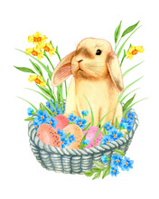 Hand Drawn Watercolor Easter Illustration With A Rabbit In A Basket, Flowers, Easter Eggs