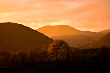 Stunning sunset hitting some trees in the foreground and some mountains in the distance. Beautiful mountain landscape with an orange sky.