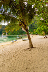 Ton Sai Beach in paradise Bay - Koh Phi Phi Don Island at Krabi, Thailand - Tropical travel destination