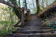 © Lexis_Jan - old forest stairs on the trail