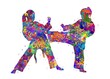 Taekwondo training girl watercolor art, abstract painting. sport art print, watercolor illustration rainbow, colorful, decoration wall art.