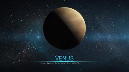 Wall Mural - Solar System - Venus. It is the second planet from the Sun. Terrestrial planet.