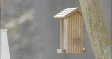 A Cute Tufted Titmouse Songbird Lands On A Neighborhood Bird Feeder To Pick Up A Black Oil Striped Sunflower Seed In Its Beak Then Quickly Flies Away With Food In Mouth To Crack It Open And Eat It