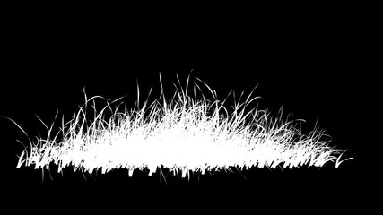 Wall Mural - grass wind loop with alpha channel. easy to use and change color you can place on footage or backgro