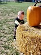 A baby checks out a hat bale with a pumpkin on top during the Halloween season. 