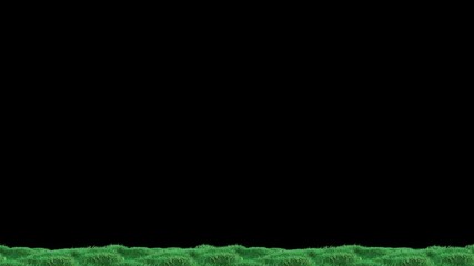 Wall Mural - grass wind loop with alpha channel. easy to use and change color you can place on footage or backgro