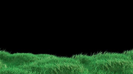 Wall Mural - grass wind loop with alpha channel. easy to use and change color you can place on footage or backgro