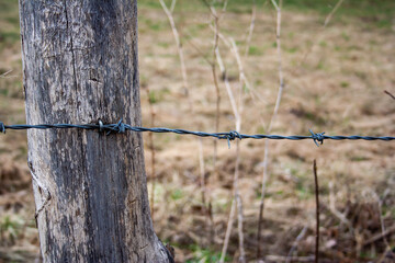 closed area, secured with barbed wire, located in Masuria in Poland, former Prussian lands near the city of Elk