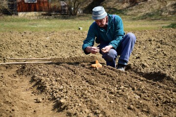 Handmade method of planting plant seeds in a row in the ground in spring