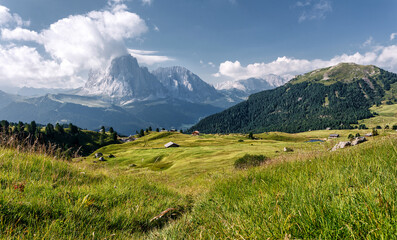 Papier Peint - Awesome alpine highlands in summer in Dolomites Alps. Scenic image of famous Sassolungo peak. Splendid landscape in Val Gardena on a sunny day. Gorgeouse spring View of Alpine valley. Amazing summer