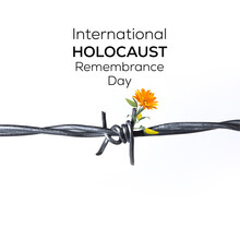 International Holocaust Remembrance Day. Barbed Wire With White Background
