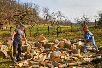 Wall Mural - A man and woman splitting large beech wood.