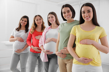 Wall Mural - Group of pregnant women at courses for expectant mothers indoors