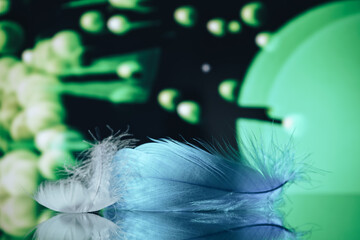 Poster - Beautiful blue Bird feather on a bokeh background.  Pattern background for design texture.  Macro view photography.