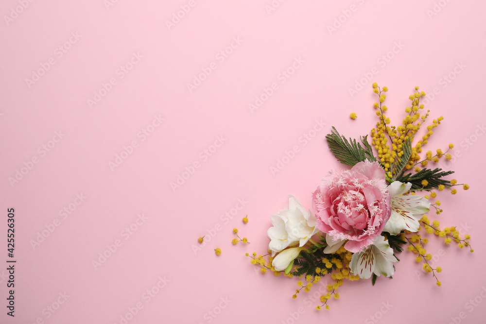 Beautiful floral composition with mimosa flowers on pink background, flat lay. Space for text - obrazy, fototapety, plakaty 