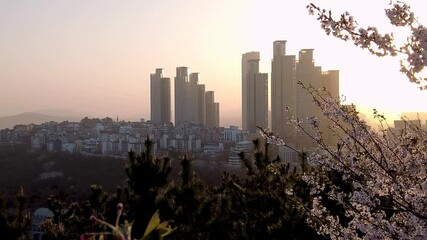 Wall Mural - Scenery of Haemaru pavillion in haeundae, Busan, South Korea, Asia.