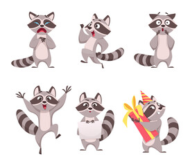 Wall Mural - Raccoon characters. Cartoon funny wild animal in forest happy mammal exact vector zoo illustrations