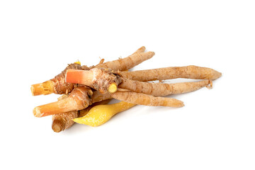 Poster - finger root or Chinese's Ginger isolated on the white background.