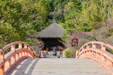 春の白水阿弥陀堂（福島県・いわき市）