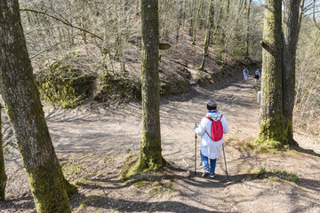 Wall Mural - Belgique Wallonie Ardenne ballade promenade loisir paysage Bouillon Corbion bois