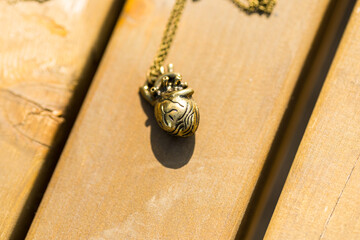 Wall Mural - Anatomy 3D heart pendant with necklace bronze color shoot outside in nature in a summer day closeup. Selective Focus. High quality photo