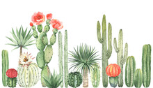 Horizontal Border With Colorful Blooming Cacti, Watercolor Wallpaper Isolated On White Background. Greenery Landscape In Mexican Style, Floral Garden.