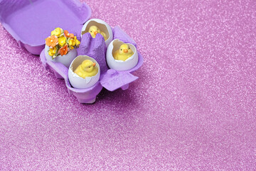 Wall Mural - Easter holiday concept. cute Easter chickens and eggs in box on purple glittering background.	