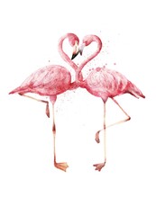 Watercolour Pair Of Pink Flamingo Birds On White Background. Watercolor Illustration.
