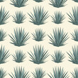 Vector seamless pattern with blue agave. Tequila agave succulent plant background, wallpaper