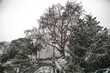 paris montmartre in the winter snow snowstorm 