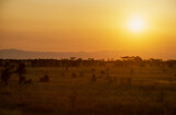 Fototapeta Sawanna - coucher de soleil, Parc national, Lac Manyara, Tanzanie