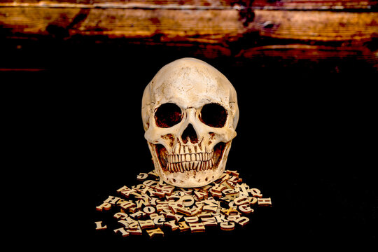 The skull lies on a pile of wooden letters.