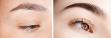 Before And After Correction Of Brow Hair. Young Woman With Beautiful Eyebrows