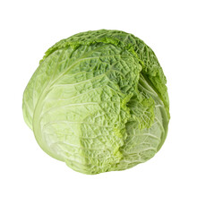 Brassica Oleracea Cabbage Isolated On White Background Close-up