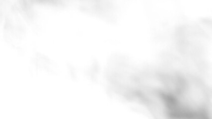 Wall Mural - Bright white smoke smoke on a black background slow motion. Start moving the cloud from top to bottom fast. The concept of transitions for video editing using the alpha channel.