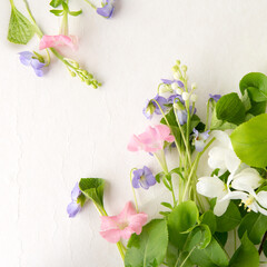 Wall Mural - delicate flowers of apple trees, violets, lilies of the valley on a light background