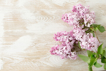 Wall Mural - lilac branches on a light wooden table, space for text