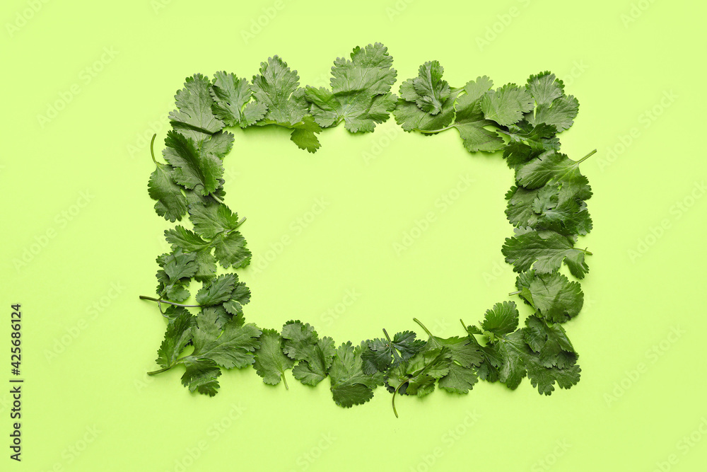 Frame made of fresh cilantro on color background