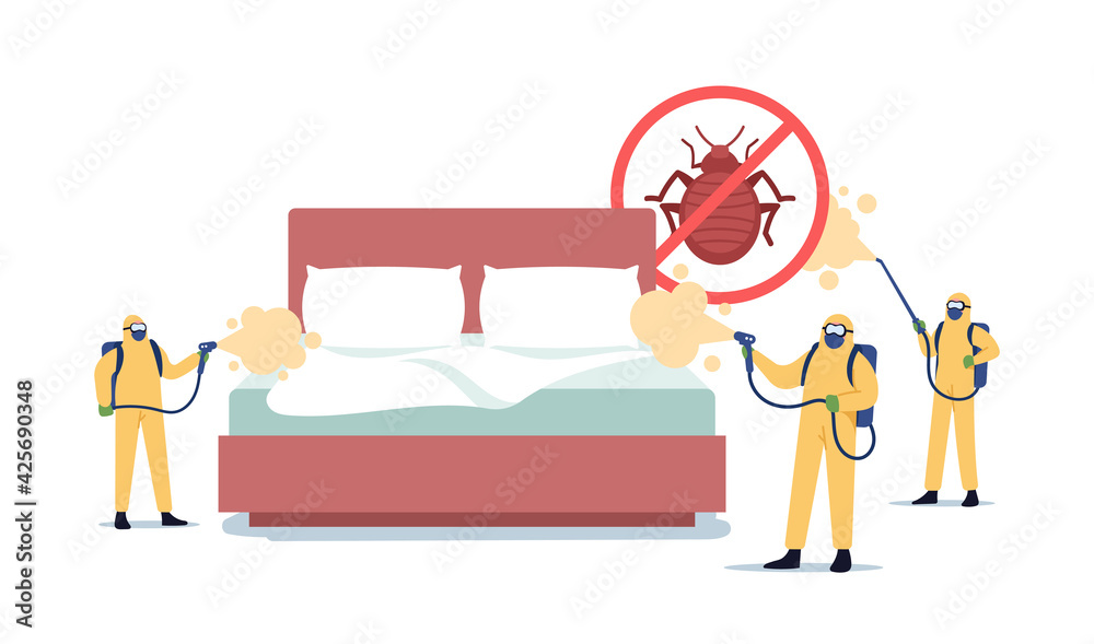 Professional Pest Control Service Doing Room Disinsection against Bed Bugs. Exterminators Spraying Toxic Liquid - obrazy, fototapety, plakaty 