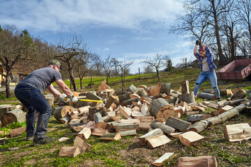 Canvas Print - Farmers splitting wood