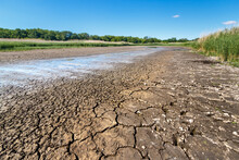Dry Riverbed With Cracked Ground Of Bottom, Water Leftovers In Puddles And Green Plants On Sides In Summer Heat Weather