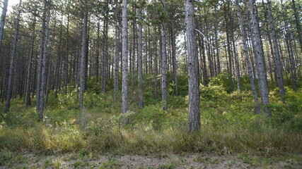  Vista lungo il sentiero sui monti delle Cesane nelle Marche