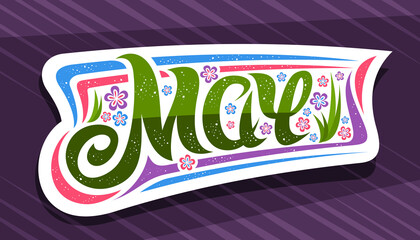 Wall Mural - Vector banner for May, white badge with curly calligraphic font, decorative stripes and illustration of colorful flowers, spring time symbol with swirly hand written lettering may on purple background