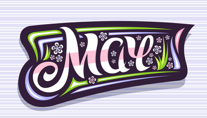 Wall Mural - Vector banner for May, badge with curly calligraphic font, decorative stripes and illustration of colorful pale flowers, spring time concept with swirly hand written lettering may on grey background.