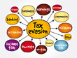 © dizain - Tax evasion mind map, business concept for presentations and reports