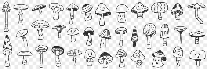 Wall Mural - Edible and inedible mushroom doodle set. Collection of hand drawn edible and inedible mushrooms types growing in forest for picking isolated on transparent background