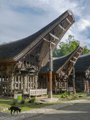 Wall Mural - View of beautiful traditional tongkonan houses in Kete Kesu village, near Rantepao, Tana Toraja, South Sulawesi, Indonesia