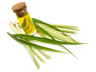 Wall Mural - Lemon Grass with Lemongrass Oil on white Background Isolated